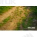 Tło fotograficzne Las 3611